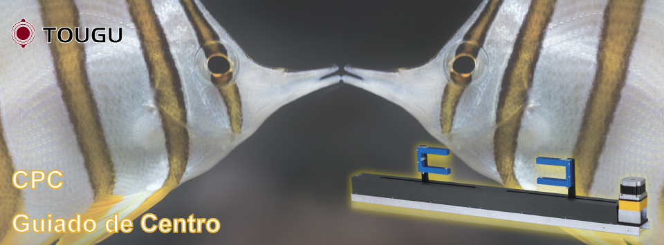 Guiador de Centro Automático Guiador de Centro Automático
