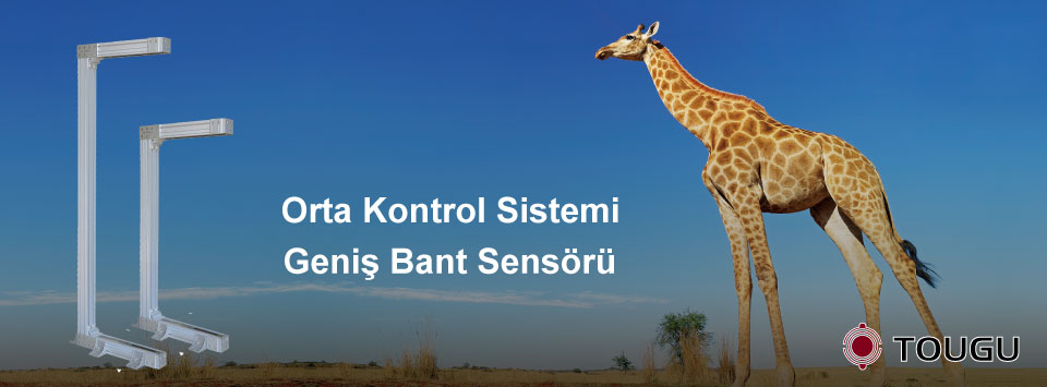 Geniş Bant Sensörü Geniş Bant Sensörü