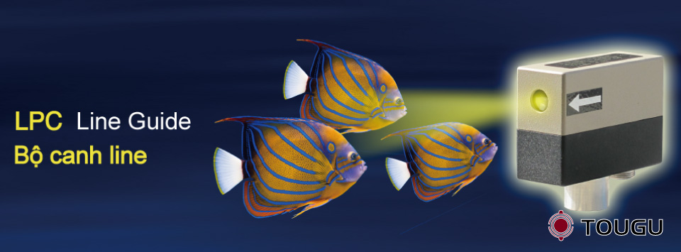 Hệ thống chỉnh đường Hệ thống chỉnh đường