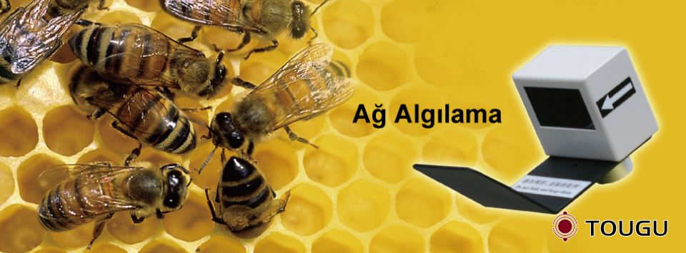 Genişliğinde Oyuk Ağ EPC Genişliğinde Oyuk Ağ EPC