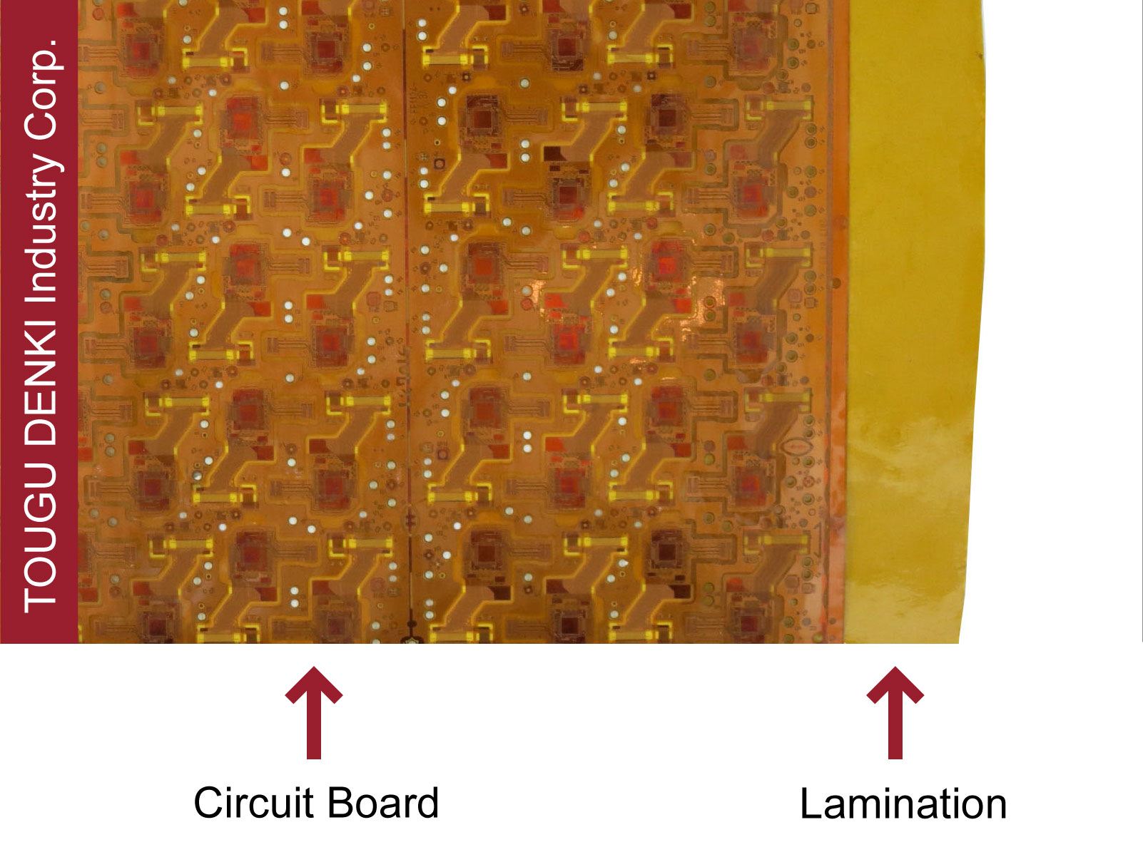 Flexible Printed Circuit Board Flexible Printed Circuit Board