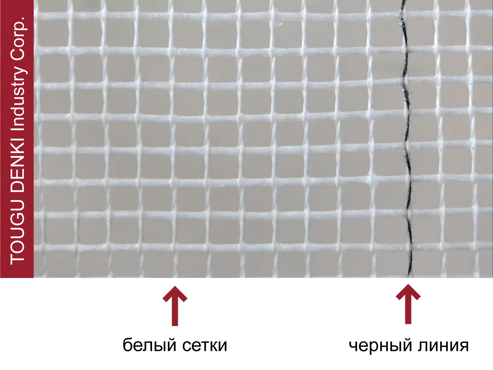 Печатная Линия на Сетке Печатная Линия на Сетке